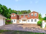 Thumbnail for sale in Brackendale Road, Camberley, Camberley