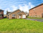 Thumbnail to rent in New Park, Newfield, Bishop Auckland