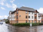 Thumbnail to rent in Johnston Court, Falkirk, Stirlingshire