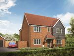 Thumbnail to rent in "The Hadleigh" at Clover Drive, Chelmsford