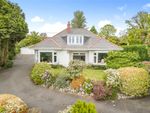 Thumbnail to rent in Trevone Crescent, St. Austell, Cornwall