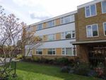 Thumbnail to rent in Avenue Road, Epsom