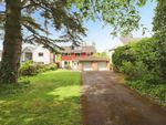 Thumbnail for sale in Lime Tree Avenue, Bilton, Rugby