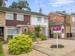 Thumbnail to rent in Hazelwood Road, Hurst Green, Surrey