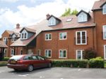 Thumbnail to rent in Laura Close, Winchester