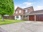 Thumbnail for sale in Eskdale Close, Clanfield, Waterlooville
