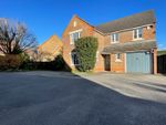 Thumbnail to rent in Azalea Avenue, Lindford, Bordon, Hampshire