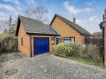 Thumbnail for sale in Conifer Close, Oxford