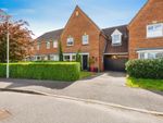 Thumbnail for sale in Sandleford Drive, Elstow, Bedford