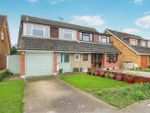 Thumbnail for sale in Woollard Way, Blackmore, Ingatestone