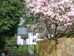 Thumbnail to rent in West Hill Road, West Hill, Ottery St. Mary
