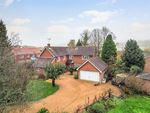Thumbnail for sale in North Lane, Buriton, Petersfield, Hampshire