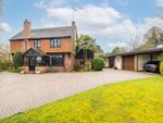 Thumbnail for sale in Lowdells Drive, East Grinstead