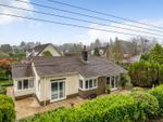 Thumbnail to rent in Harcombe Road, Axminster