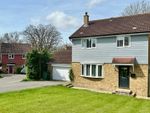 Thumbnail to rent in Brede Close, St. Leonards-On-Sea