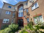 Thumbnail to rent in Goldpark Place, Livingston