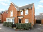 Thumbnail to rent in Sulgrave Street, Barton Seagrave, Kettering