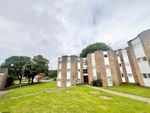 Thumbnail to rent in Ellfield Court, Abington, Northampton