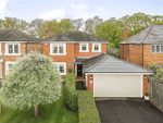 Thumbnail for sale in Winchfield Court, Winchfield, Hook, Hampshire