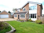 Thumbnail for sale in Paddock Close, Staincross, Barnsley