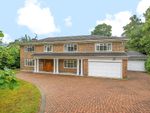 Thumbnail to rent in Sunninghill, Berkshire