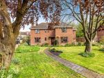 Thumbnail for sale in Coningham Road, Reading, Berkshire