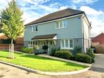 Thumbnail to rent in Great Meadow, Wisborough Green, West Sussex