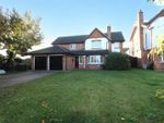 Thumbnail to rent in Court Tree Drive, Eastchurch, Sheerness