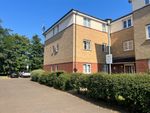Thumbnail to rent in Sherriff Close, Esher, Surrey
