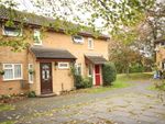 Thumbnail to rent in Westmead, Horsell, Woking