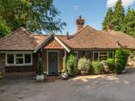 Thumbnail for sale in Haste Hill, Haslemere, Surrey