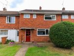 Thumbnail to rent in Briars Wood, Hatfield