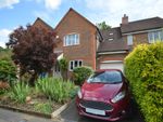 Thumbnail to rent in Forelands Way, Chesham, Buckinghamshire