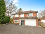 Thumbnail to rent in Sherfield Road, Bramley, Tadley, Hampshire