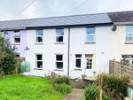 Thumbnail to rent in Lime Tree Walk, Newton Abbot