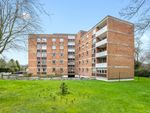 Thumbnail to rent in Flat 8 Almond Court East, 5 Braehead Park, Edinburgh