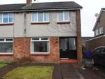 Thumbnail to rent in Cedar Avenue, Stirling