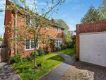 Thumbnail to rent in Queen Annes Close, Lewes, East Sussex