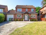 Thumbnail to rent in Westdean Close, St. Leonards-On-Sea