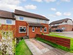 Thumbnail for sale in 34 Kingennie Court, Angus, Dundee