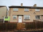 Thumbnail to rent in Maple Park, Ushaw Moor, Durham