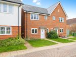 Thumbnail to rent in Carter Drive, Broadbridge Heath, Horsham, West Sussex