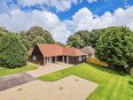 Thumbnail for sale in Amberstone, Hailsham