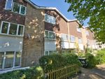 Thumbnail to rent in Link Walk, Hatfield