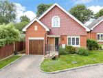 Thumbnail for sale in Bankside, Epsom, Surrey