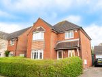 Thumbnail to rent in Cypress Court, Dunmow, Essex