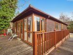 Thumbnail to rent in The Lakes, Warmwell, Dorchester