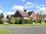 Thumbnail to rent in Reedswood Road, Broad Oak, Rye