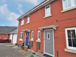Thumbnail to rent in Walsingham Place, Exeter