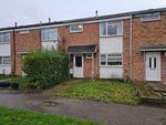 Thumbnail to rent in Millwards, Hatfield, Hertfordshire